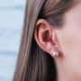 Classic Sterling Silver Ball Stud Earrings, thumbnail 2 of 5