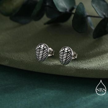 Oxidised Trilobite Fossil Stud Earrings In Sterling Silver, 3 of 11