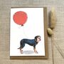 Personalised Greek Harehound Birthday Card, thumbnail 1 of 6