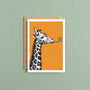Giraffe Birthday Card, thumbnail 2 of 6