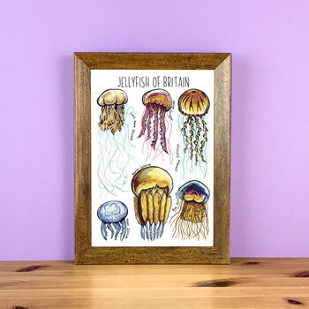 Jellyfish Of Britain Wildlife Print, 7 of 10