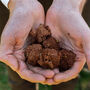 Make Your Own Bee Friendly Seed Bomb Kit, thumbnail 8 of 8