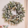 Winter Meadow Christmas Door Wreath, thumbnail 1 of 4