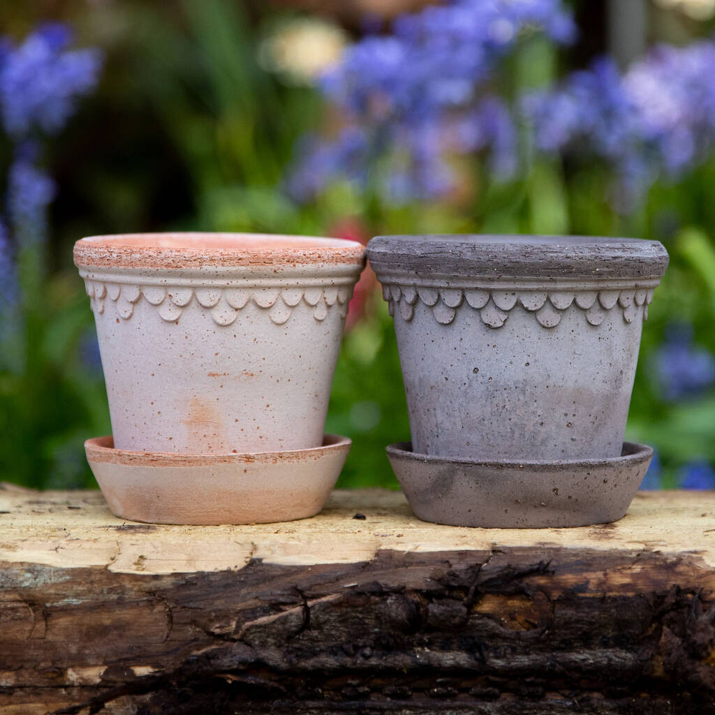 July Birth Flower Gift Set With Handmade Pot By Flourishy