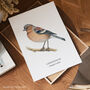 Chaffinch Bird Wall Print Gift, thumbnail 3 of 6
