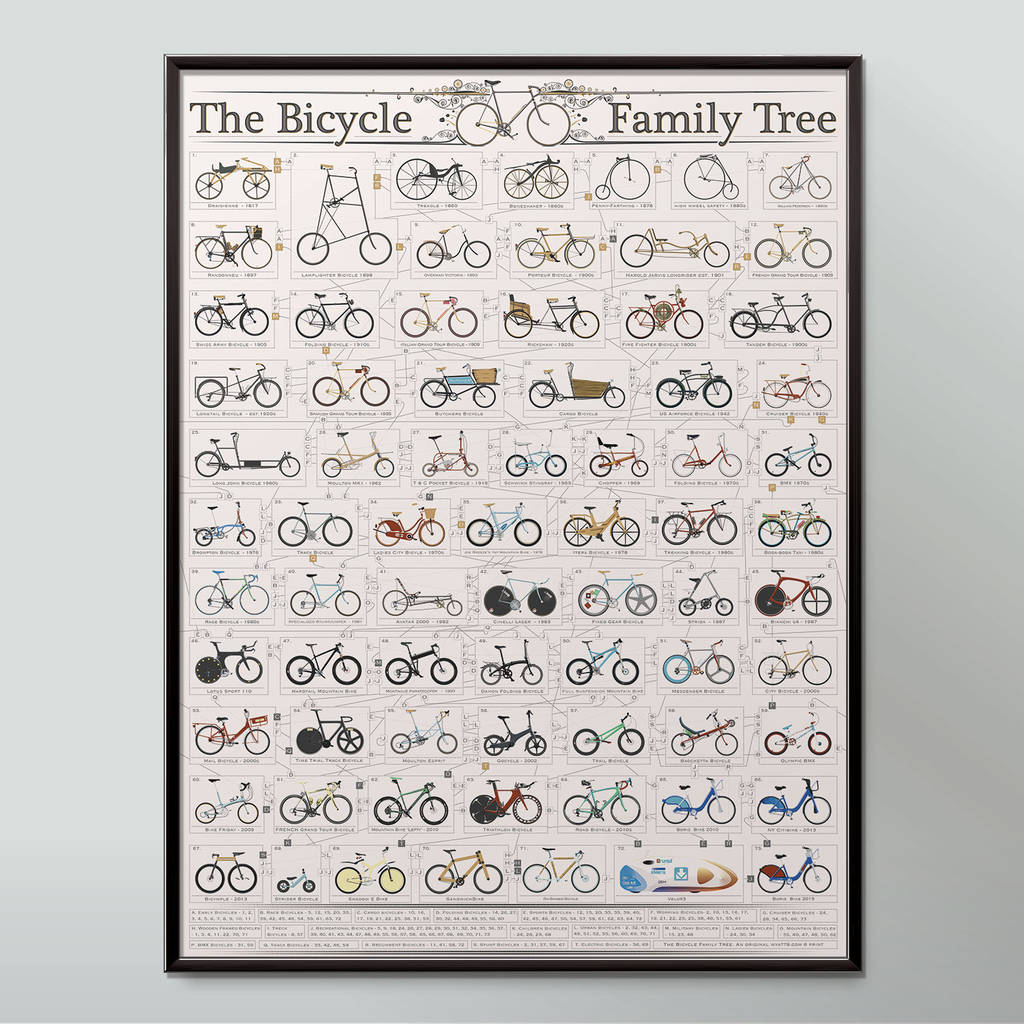 the bicycle family tree bike poster wall art print by wyatt9