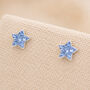 5mm Sterling Silver Blue Crystal Star Stud Earrings, thumbnail 1 of 10