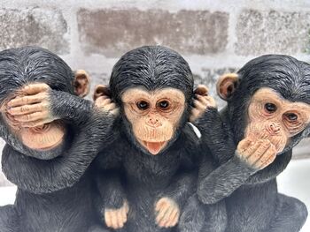 See, Hear, Speak No Evil Monkeys Figurine Ornament, 9 of 12