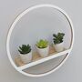 Wooden Circle Shelf | New For 2020, thumbnail 7 of 7