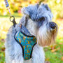 Squirrel Suprise Adjustable Dog Harness, thumbnail 1 of 12