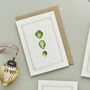Botanist Archive Brussel Sprouts Christmas Card, thumbnail 2 of 4