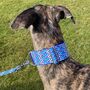 Martingale Collar In Royal Blue Print, thumbnail 8 of 10