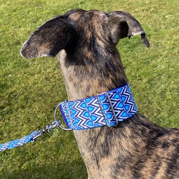 Martingale Collar In Royal Blue Print, 8 of 10