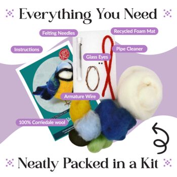 British Birds Blue Tit Needle Felting Craft Kit, 3 of 10