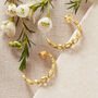Green Peridot And Gold Plated Silver Stud Hoops, thumbnail 9 of 11
