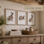 Trio Of Fine Art Hare Prints, thumbnail 1 of 6