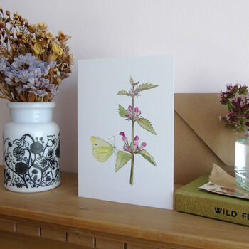 Red Dead Nettle And Butterfly Greeting's Card, 4 of 4