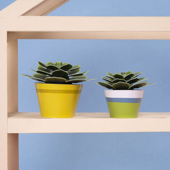 Make Your Own Soothing Succulent Paper Plant, 3 of 4