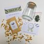Marimo Moss Ball Kit Plant Lover Gift, thumbnail 4 of 9