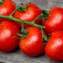 Tomato Plants 'Sweet Million' Six X Plug Plant Pack, thumbnail 1 of 5