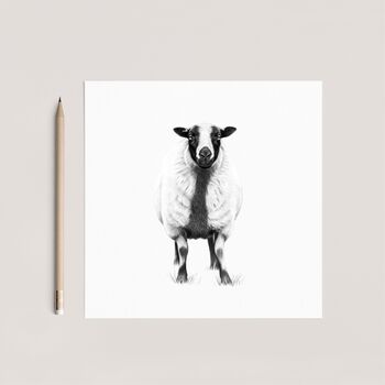 Badger Sheep Wildlife Countryside Card, 3 of 6