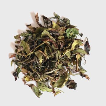 Solar White Loose Leaf Tea, 2 of 7
