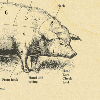British Pork Butcher Cut Chart, 6 of 8