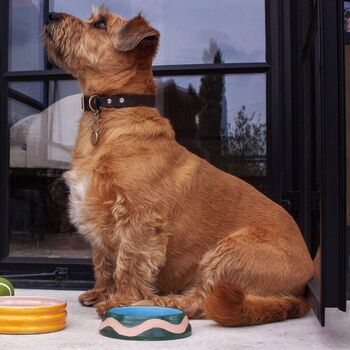 Handmade Personalisable Pet Bowl, 4 of 12