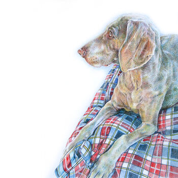 Custom Pet Portrait Drawing Or Gift Voucher, 4 of 12