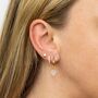 Hoop Earrings With Cubic Zirconia In Sterling Silver, thumbnail 4 of 8