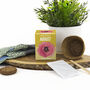Grow Your Own Birth Flower Choose Your Month, thumbnail 6 of 12