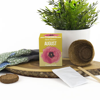 Grow Your Own Birth Flower Choose Your Month, 6 of 12