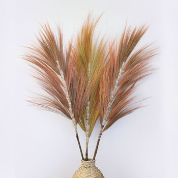 Coral Rayung Pampas Grass Set, 2 of 10