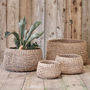 Handmade Seagrass Basket, thumbnail 1 of 1