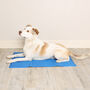 Blue Cooling Mat For Dogs, thumbnail 6 of 7