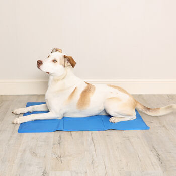 Blue Cooling Mat For Dogs, 6 of 7