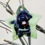Personalised Star Pet Photo Christmas Tree Decoration, thumbnail 1 of 4