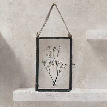 Set Of Pressed Flower Frames: Black Daisy, Bunny Tails, 6 of 11