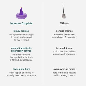 Ripple⁺ Dream Fig Leaf Incense | 26 Cones, 3 of 3