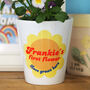 Personalised New Baby First Flower Pot Gift, thumbnail 1 of 2