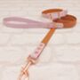 Waterproof Dog Collar And Lead Set Light Brown/Lilac, thumbnail 1 of 3