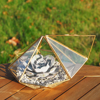 Large Diamond Glass Succulent Terrarium, 5 of 8