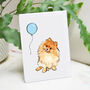 Pomeranian Birthday Card, thumbnail 1 of 3
