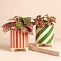 Candy Cane Striped Mini Planter, thumbnail 1 of 7