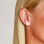 Daisy Flower Stud Earrings In Sterling Silver, thumbnail 4 of 9