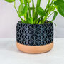 Carbon Honeycomb Planter, thumbnail 1 of 4