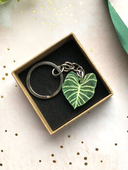 Plant Leaf Silver Plated Keyring Letterbox Gift Set, 4 of 12