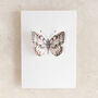 White Butterfly Watercolour Pop Out Card, thumbnail 2 of 3