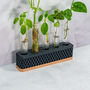 Propagation Station | Wood And Carbon, thumbnail 2 of 4