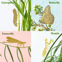 Insect Plant Animal Decor, Butterfly/Bee And More, thumbnail 7 of 9